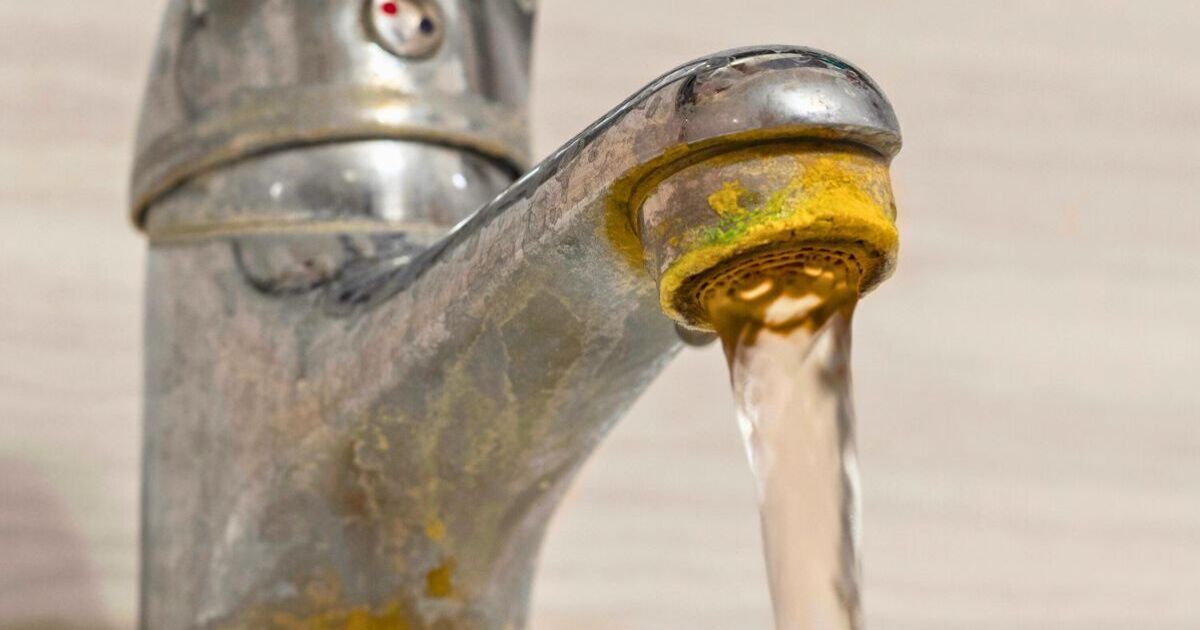 Tap limescale will disappear in 10 minutes if cleaned with 1 natural item